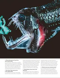 Eyewitness Encyclopedia of Animals - мініатюра 5