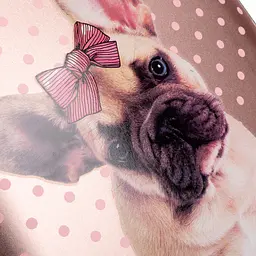 Рюкзак каркасний 1 Вересня H-29 Dolly Dog, кораловий (559516) - мініатюра 13