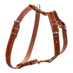 Шлея одинарна CoLLaR для дрібних і середніх собак