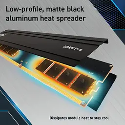 Модуль пам'яті Crucial DDR5 48 GB (2x24GB) 5600MHz Pro (CP2K24G56C46U5) - мініатюра 3