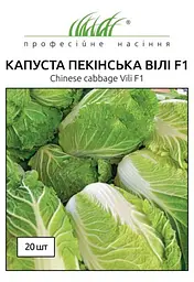 Насіння пекінської капусти Віллі F1 (Професійне насіння)