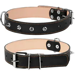 Нашийник для собак Collar подвійний з шипами (4820082492021)