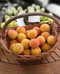 Саджанець Agro-Market Абрикос Флейвор Кот (літній сорт, пізній термін дозрівання) (44000) 1 шт. в упаковці - мініатюра 2