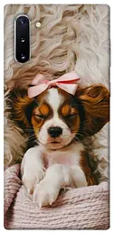 TPU чохол Demsky Sleepy spaniel для Samsung Galaxy Note 10