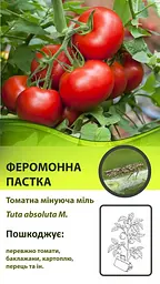 Феромонна пастка для томатної мініуючої молі (тути абсолюти)