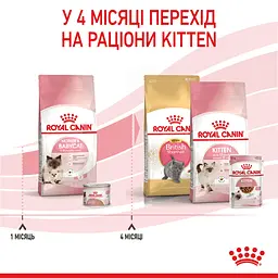 Сухий корм для кошенят Royal Canin Mother and Babycat м'ясо птиці та рис 0.4 кг - мініатюра 7