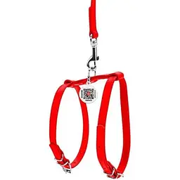 Шлея з повідцем для собак Waudog Glamour, шкіряна, з QR паспортом, 20-30х30-40х0,9/115 см, червоний (33993) - мініатюра 2