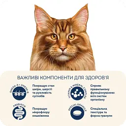 Корм для котів великих порід Home Food з телятиною, лососем та в'яленими томатами 10кг - мініатюра 5