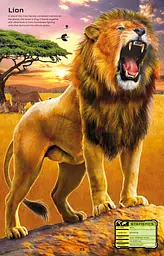 Build Your Own Deadly Animals - Simon Tudhope, англ. мова (9781474985284) - мініатюра 6