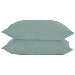 Набір наволочок Cosas Agave 50х70 см агавовий (SetPillow_RanforsAshmint_50)