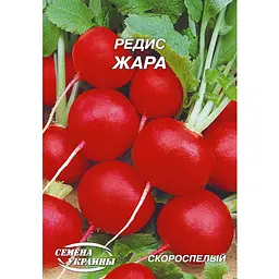 Насіння Насіння України редиска жара 20 г (166700)