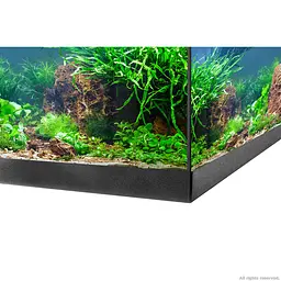 Акваріумний комплект Eheim aquastar 54 LED чорний (0340645) - мініатюра 5