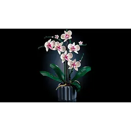 Конструктор LEGO Botanicals Орхідея 608 деталей (10311) - мініатюра 5