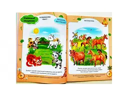 Книга Тести 3+ з наліпками, Пегас (укр) - мініатюра 5