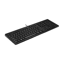 Клавиатура HP 125 USB UA Black (AY2Y7AA) - миниатюра 2