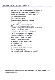 За циганськими снами - мініатюра 12