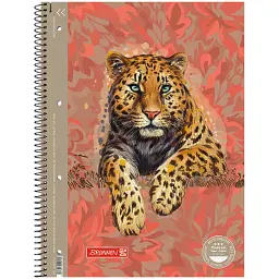 Книга записна Brunnen Коледж-блок А4 Premium Safari, лінія, 80 аркушів (10-679 27 221)
