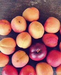 Саджанець Agro-Market Абрикос Ерлі Оранж (літній сорт, ранній термін дозрівання) (21280) 1 шт. в упаковці - мініатюра 3