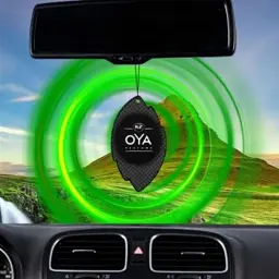 Ароматизатор для автомобіля K2 Oya Meadow Grass (V905) - мініатюра 6