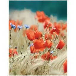 Фотоальбом UFO Poppies 200 фото 10x15 см (PP-46200 Poppies)