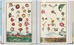 J. C. Volkamer. The Book of Citrus Fruits. 45th Edition - мініатюра 10