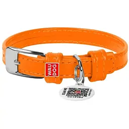 Нашийник для собак Waudog Glamour, шкіряний, з QR паспортом, 21-29х1,2 см, помаранчевий