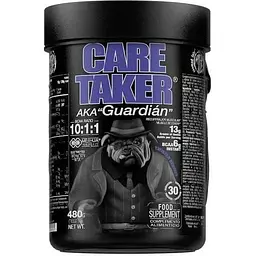 Амінокислота Zoomad Labs Caretaker BCAA, 480 грам - Ягоди