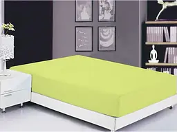 Простирадло на резинці (Sunny Lime) TAG tekstil 160х200х20 см pbe0028487 - мініатюра 2