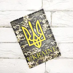 Обкладинка на паспорт Піксель