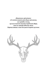 Дрібні злодюжки. Книга 1 - мініатюра 3