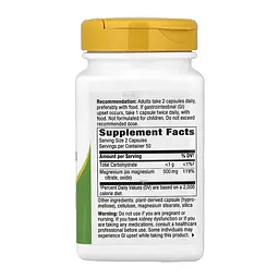 Комплекс магнію Magnesium Complex - 100 caps - мініатюра 2