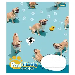 Набір зошитів 1 вересня Pawsitively А5, 24 аркуші 20 шт. (768241) - мініатюра 4
