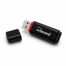 Флеш-накопичувач Wibrand USB 3.2 Gen1 Scarab 128GB Black (WI3.2/SC128P11B) - мініатюра 4