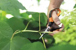 Ножиці Fiskars Solid Softgrip SP15 для мікрообрізки (1051602) - мініатюра 8
