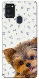 TPU чохол Demsky Cute Yorkie для Samsung Galaxy A21s