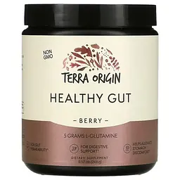 Здоров'я травної системи Healthy Gut Ягоди 243 грам Terra Origin vit0005937