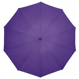 Парасолька автоматична Xiaomi Zuodu (ZD001) Purple - мініатюра 2