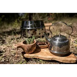 Чайник Petromax Teakettle 0.8 л (1017-tk0.8) - мініатюра 6