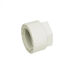 Заглушка PPR Blue Ocean з різьбленням 20х1/2" ВР SD00004625