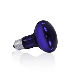 Лампа нічна синя Terra Night Heat Blue, 60W Happet, (BP01)