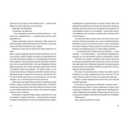 Книга Незнайомець нагорі - Ліза М. Матлін Видавництво Старого Лева (9789664484173) - мініатюра 3