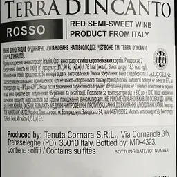 Вино Terra d'Incanto Rosso Semi Sweet червоне напівсолодке 0.75 л - мініатюра 4