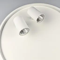 Стельова люстра LED в білому корпусі з направляючими спотами Line.F C 13/500 - мініатюра 3