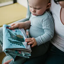 Дитяча розвивальна сенсорна м’яка книжечка іграшка двостороння з дзеркалом і прорізувачем Safari від народження BabyOno 1564 - мініатюра 9