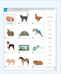 English for Everyone 1 Beginner Practice Book: A Complete Self-Study Programme (new ed.) - мініатюра 4
