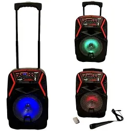 Акустична система XPRO 895 з мікрофоном (MER-15704_2772) - мініатюра 10