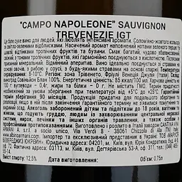 Вино Albino Armani Sauvignon Bianco Venezie Campo Napoleone Igt, біле, сухе, 12,5%, 0,75 л - мініатюра 4