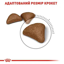 Сухий корм для виведення грудочок шерсті у котів Royal Canin Hairball Care з м'ясом птиці 0.4 кг - мініатюра 3