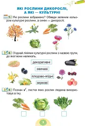 Я досліджую світ 1 клас. Зошит-практикум. Частина 2 - мініатюра 4