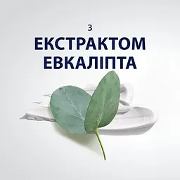 Піна для гоління Gillette Series охолоджуюча з евкаліптом 200 мл - мініатюра 4
